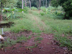Ambalakkandy(0.25 km Distance)